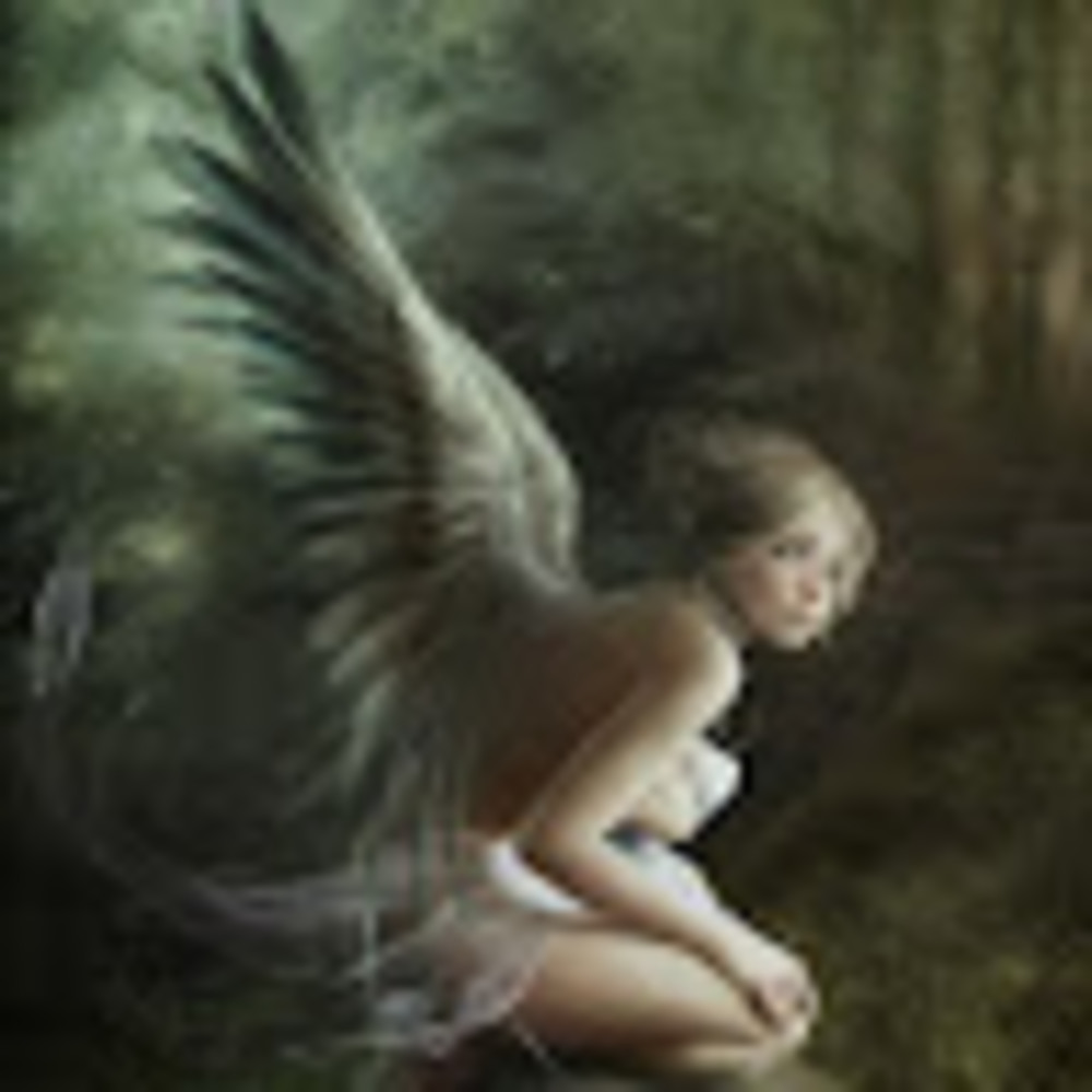 Meet your Posher, Dave